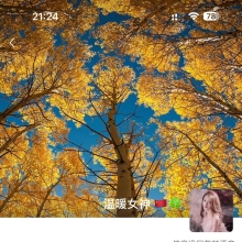 沈阳楼凤，可以泻火的lf！