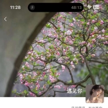 验证个身材白净的楼凤