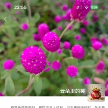 苏州良家，FW不错的性息！