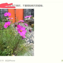 南京lf，可以QT的南京SPA！