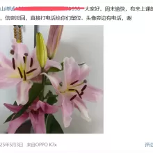 佛山qm，可以QT的良家兼职！
