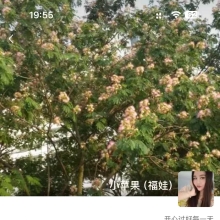 南京品茶，人气不错的老兼职！