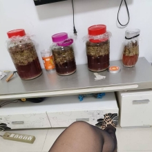 兰州品茶，可以QT的性息！
